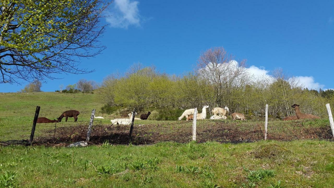 Les Genets Villa La Bresse Exterior photo